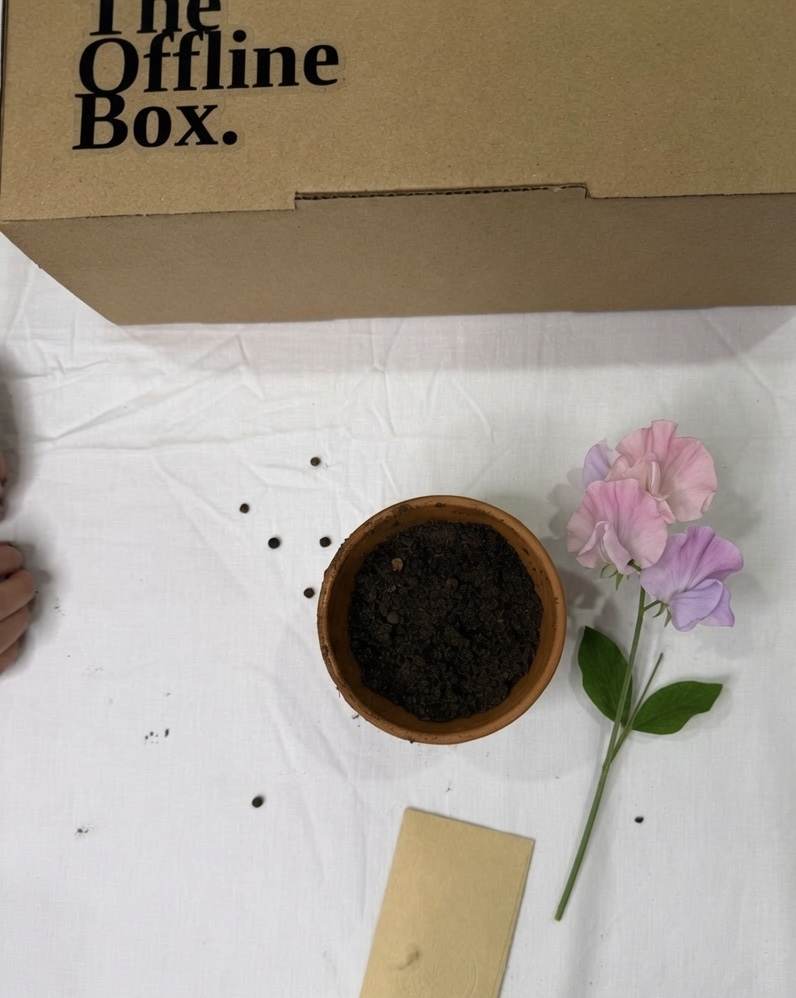 Seeds, soil and a pot. Something to grow
