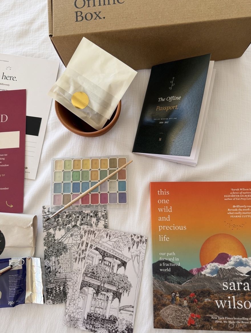 Watercolours, a colouring page, a pot to grow something and the month’s book