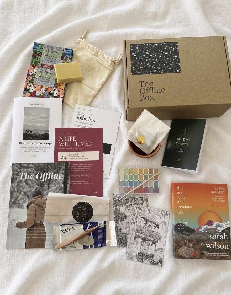 A recent Offline Box laid out: a book, watercolours, clay, seeds and a pot